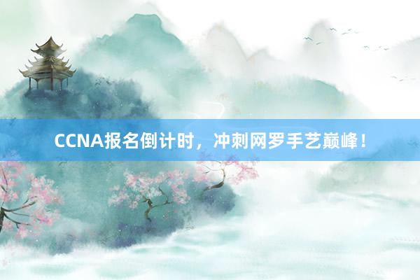 CCNA报名倒计时，冲刺网罗手艺巅峰！