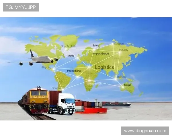 365国际打造一站式国际物流服务平台提升全球配送效率